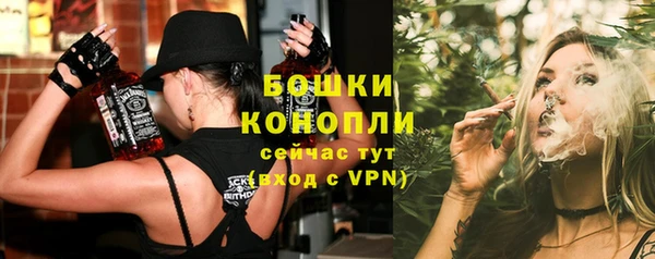 ГАЛЛЮЦИНОГЕННЫЕ ГРИБЫ Осташков